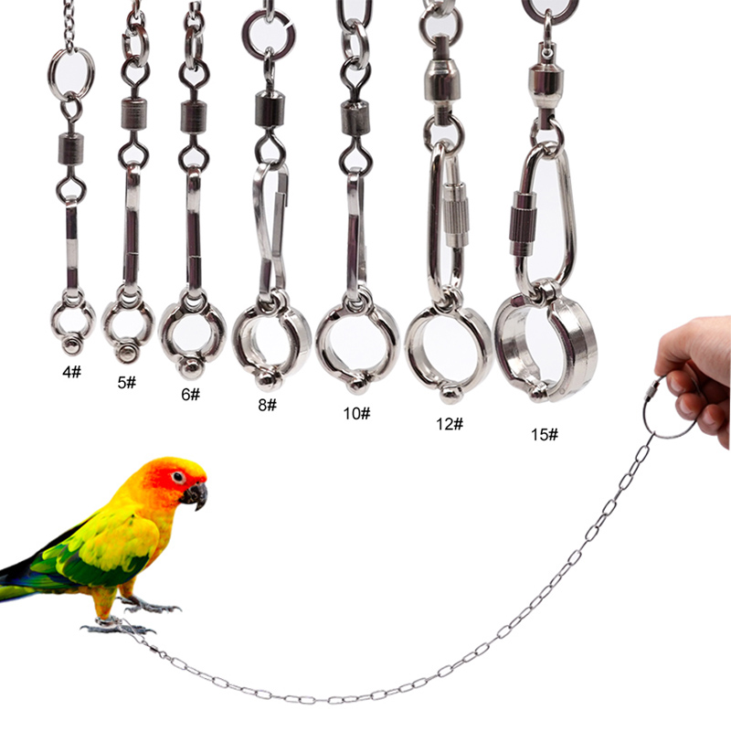 Stainless Steel Parrot Leg Rin - Anklet Foot Chain 评论和价格