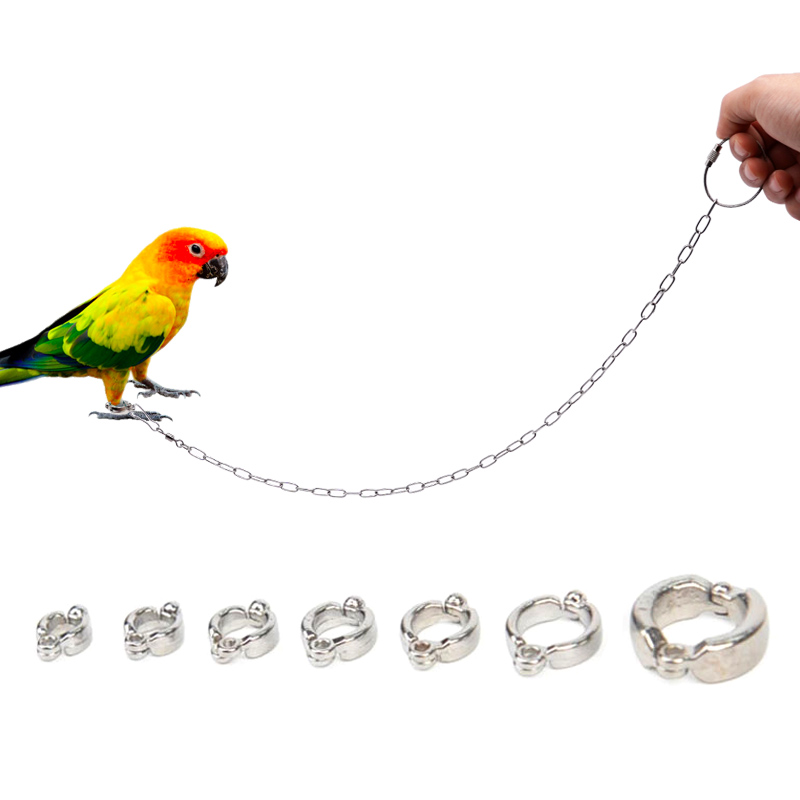 Stainless Steel Parrot Leg Rin - Anklet Foot Chain 评论和价格